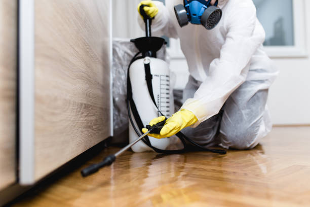Best Rat Extermination Near Me  in New Berlinville, PA