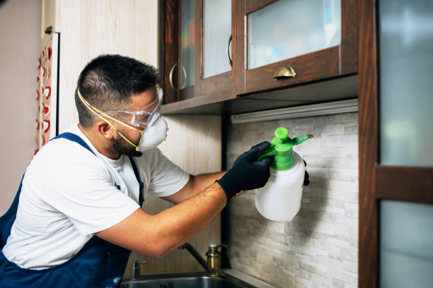 Best Affordable Pest Control Services  in New Berlinville, PA