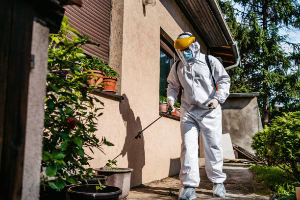 Professional Pest Control in New Berlinville, PA
