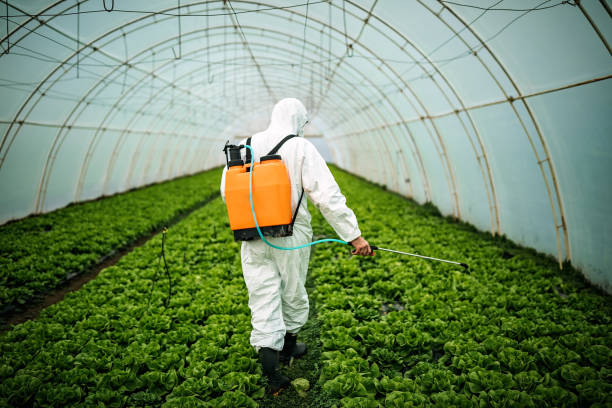 Best Pest Control for Homes  in New Berlinville, PA