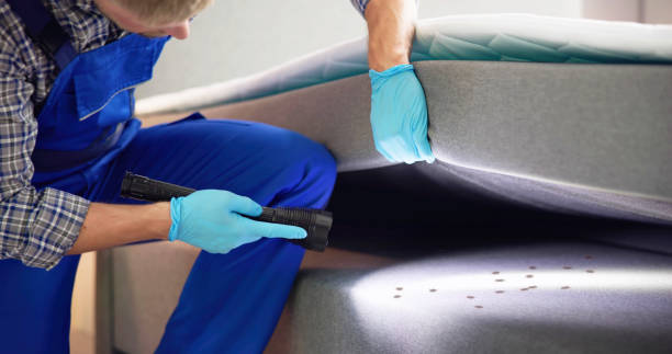 Best Ant Control Services  in New Berlinville, PA