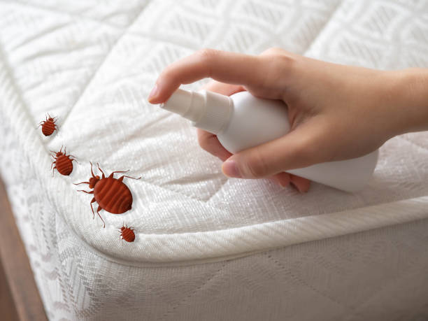 Best Pest Removal Services  in New Berlinville, PA
