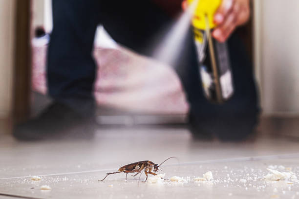 Best Wasp Removal Services  in New Berlinville, PA