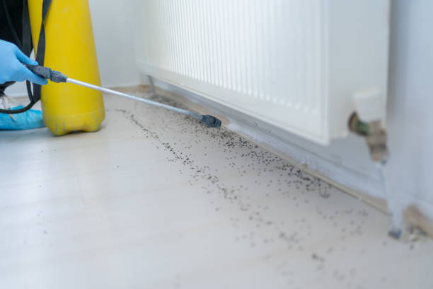 Best Affordable Pest Control Services  in New Berlinville, PA