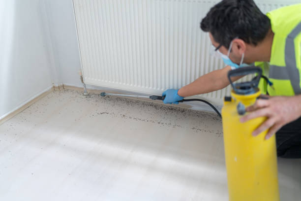 Best Pest Removal Services  in New Berlinville, PA