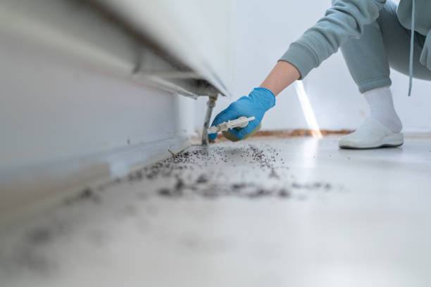 Best Ant Control Services  in New Berlinville, PA