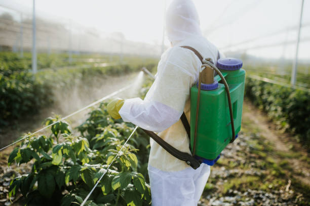 Best Wasp Removal Services  in New Berlinville, PA